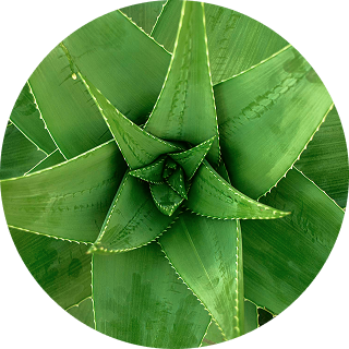benefit icon