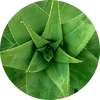 benefit icon